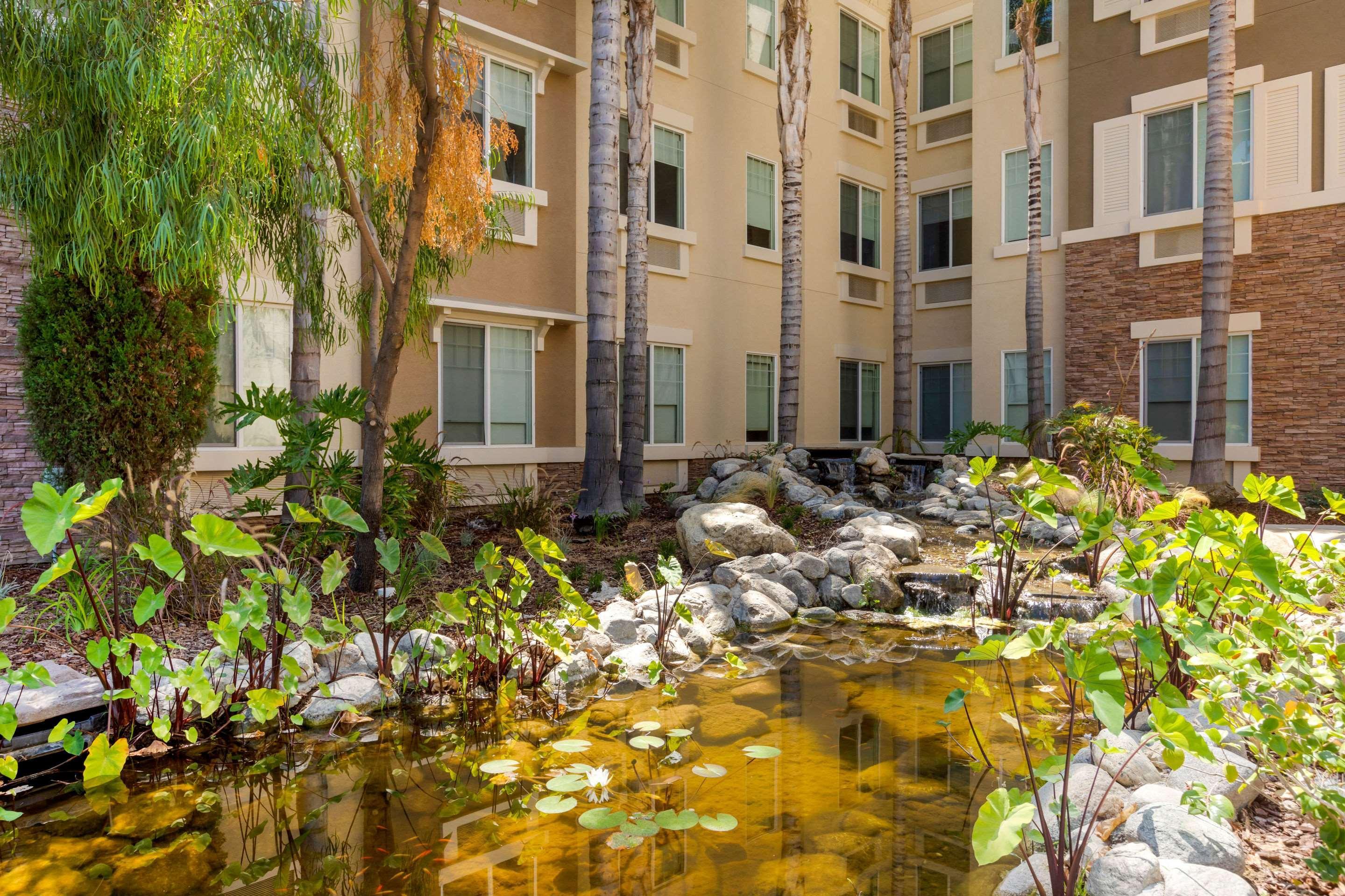 Comfort Inn & Suites Near Ontario Airport Exteriör bild
